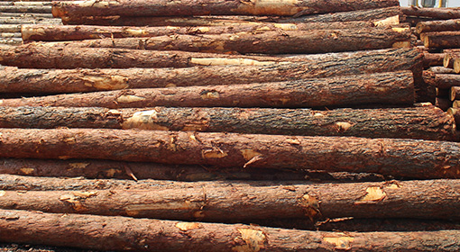 包装箱厂家哪家好 包装箱厂家哪家好