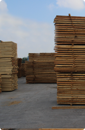 jinnianhui�����