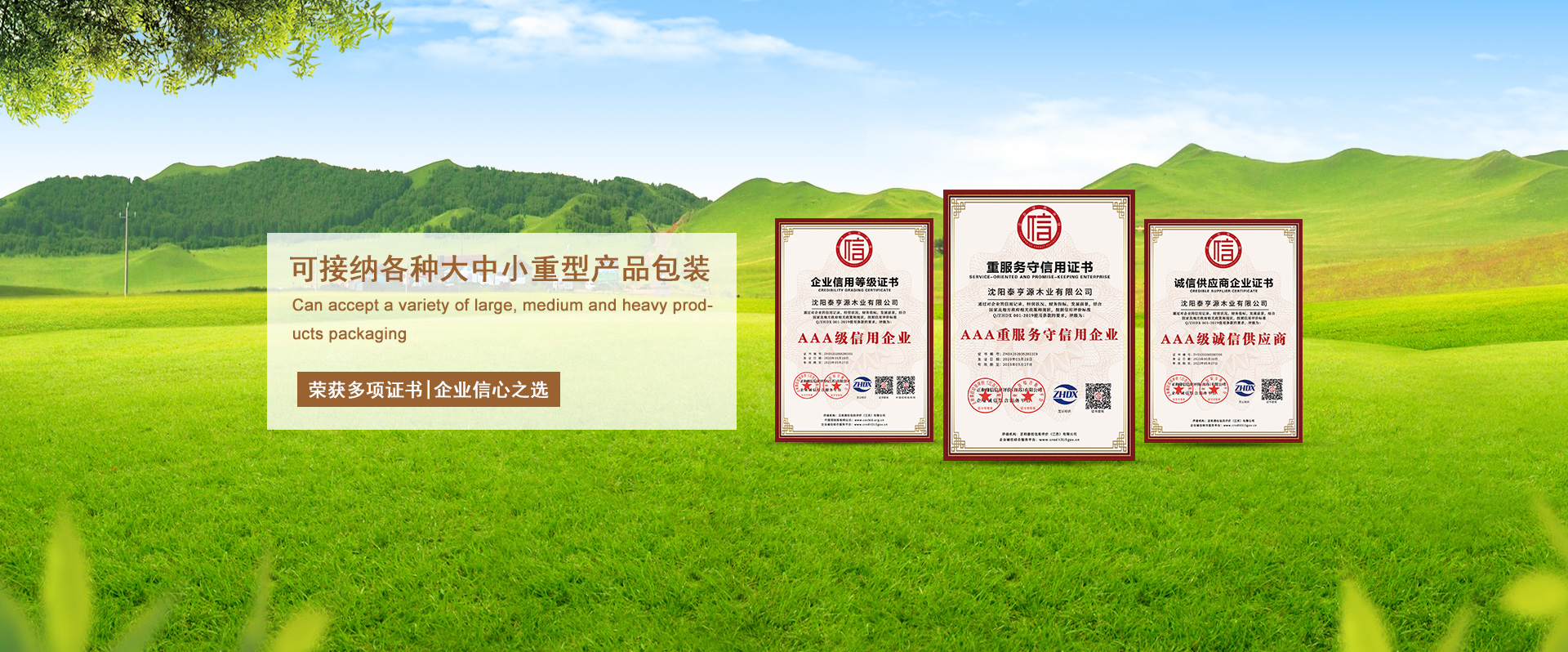 jinnianhui�����