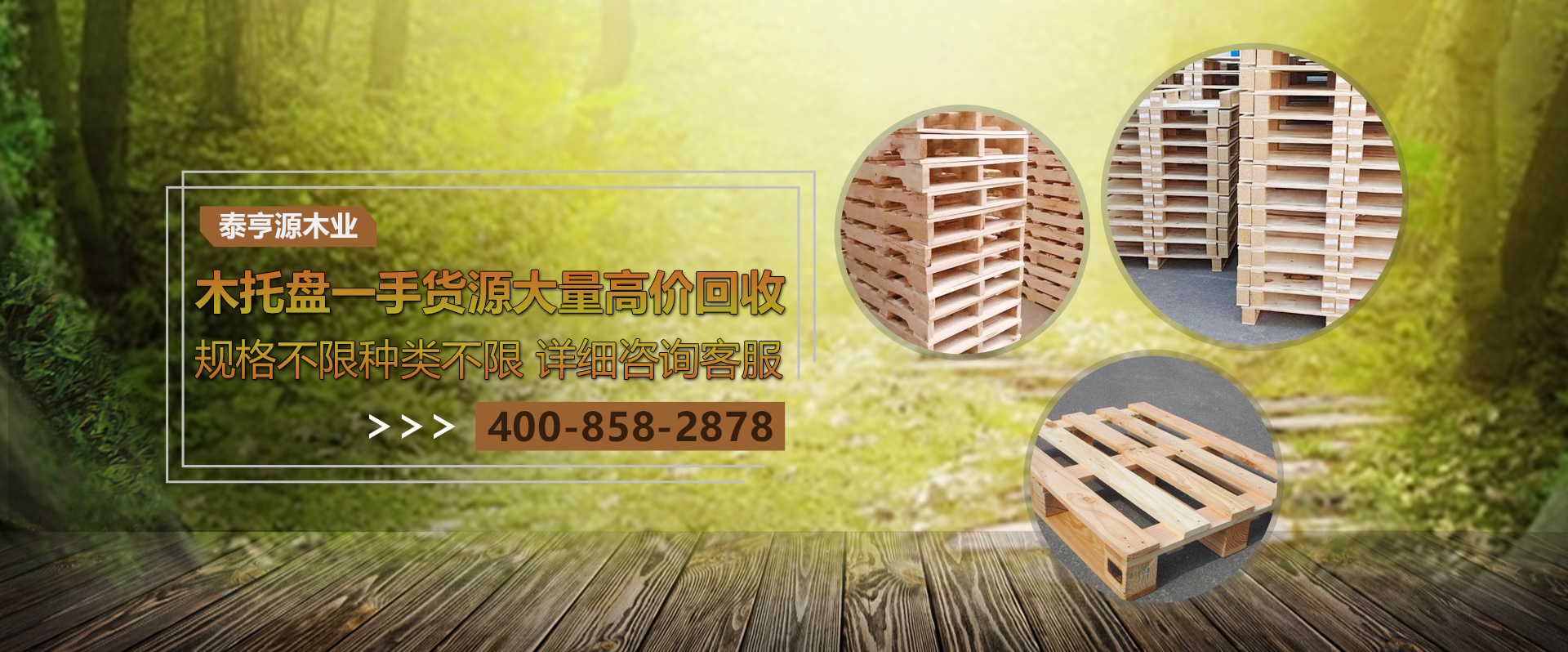 jinnianhui�����