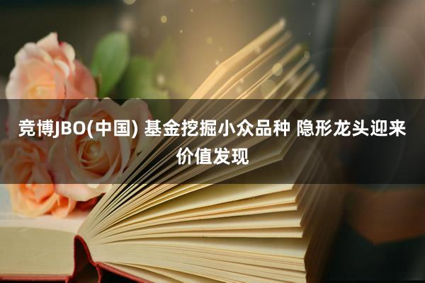 竞博JBO(中国) 基金挖掘小众品种 隐形龙头迎来价值发现