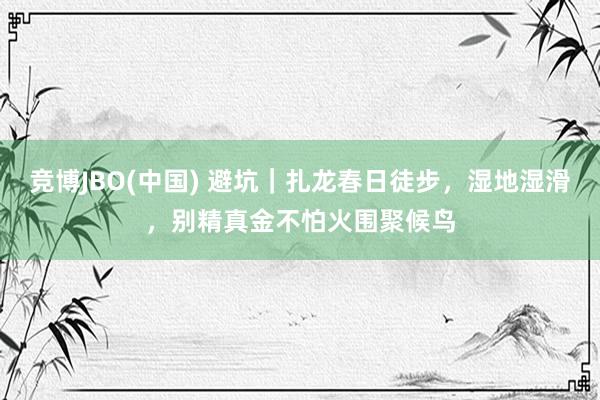 竞博JBO(中国) 避坑｜扎龙春日徒步，湿地湿滑，别精真金不怕火围聚候鸟