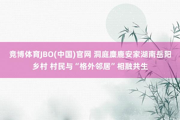 竞博体育JBO(中国)官网 洞庭麋鹿安家湖南岳阳乡村 村民与“格外邻居”相融共生