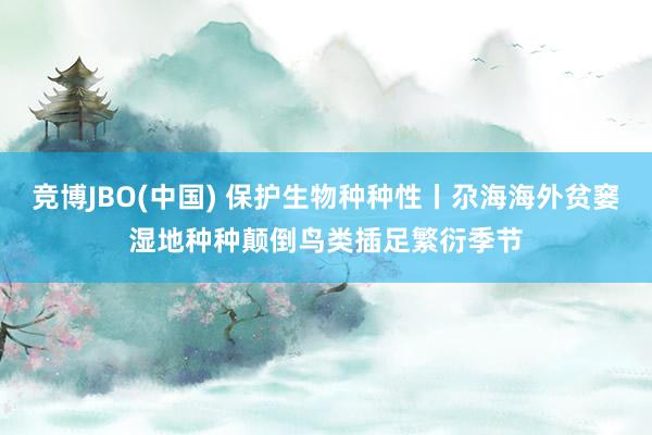 竞博JBO(中国) 保护生物种种性丨尕海海外贫窭湿地种种颠倒鸟类插足繁衍季节