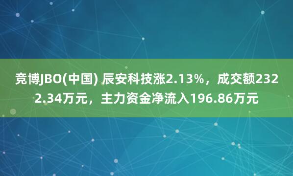 竞博JBO(中国) 辰安科技涨2.13%，成交额2322.34万元，主力资金净流入196.86万元