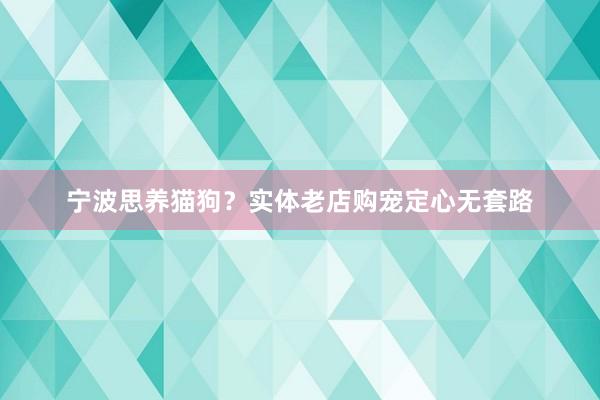 宁波思养猫狗？实体老店购宠定心无套路