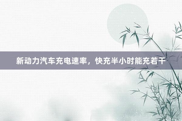 新动力汽车充电速率，快充半小时能充若干