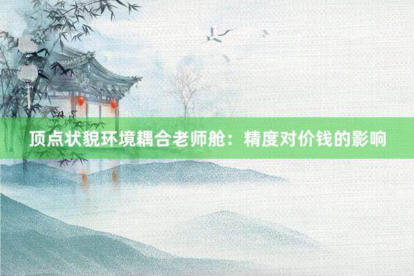 顶点状貌环境耦合老师舱：精度对价钱的影响
