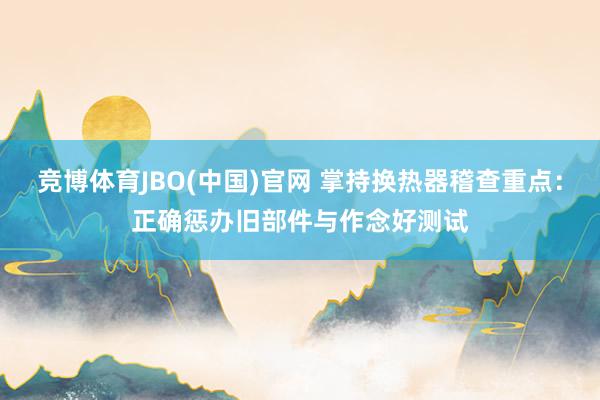 竞博体育JBO(中国)官网 掌持换热器稽查重点：正确惩办旧部件与作念好测试