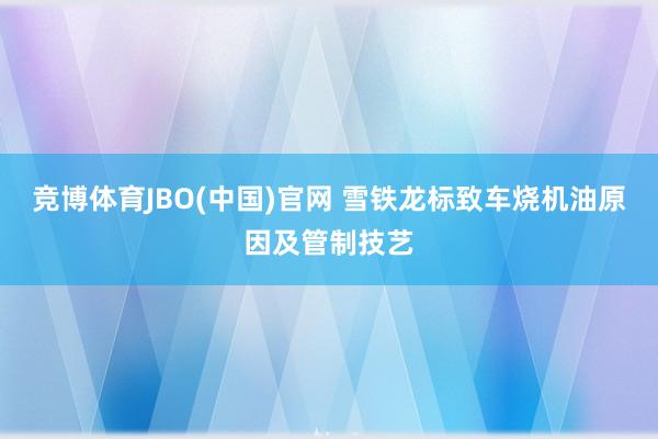 竞博体育JBO(中国)官网 雪铁龙标致车烧机油原因及管制技艺