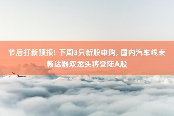节后打新预报! 下周3只新股申购， 国内汽车线束畅达器双龙头将登陆A股